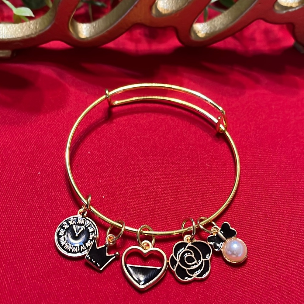 Beautiful Expandable Charm Bracelet - Picture 1 of 1